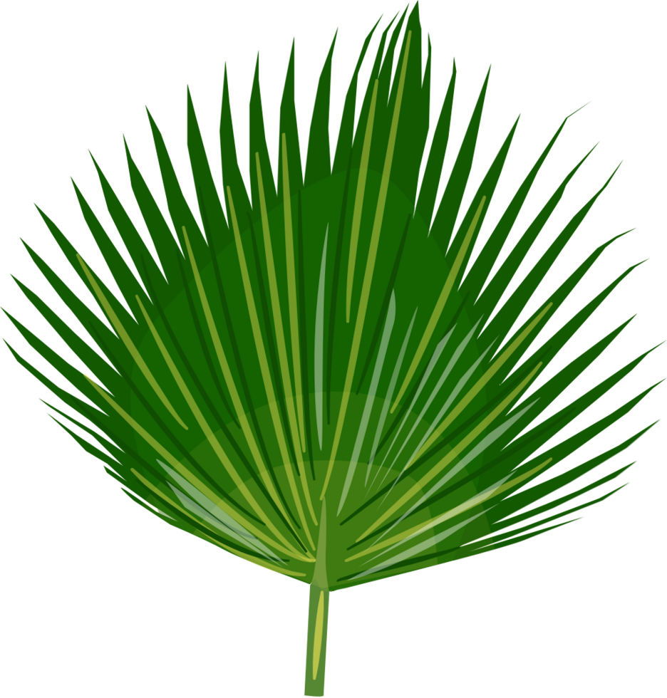 Palm vector