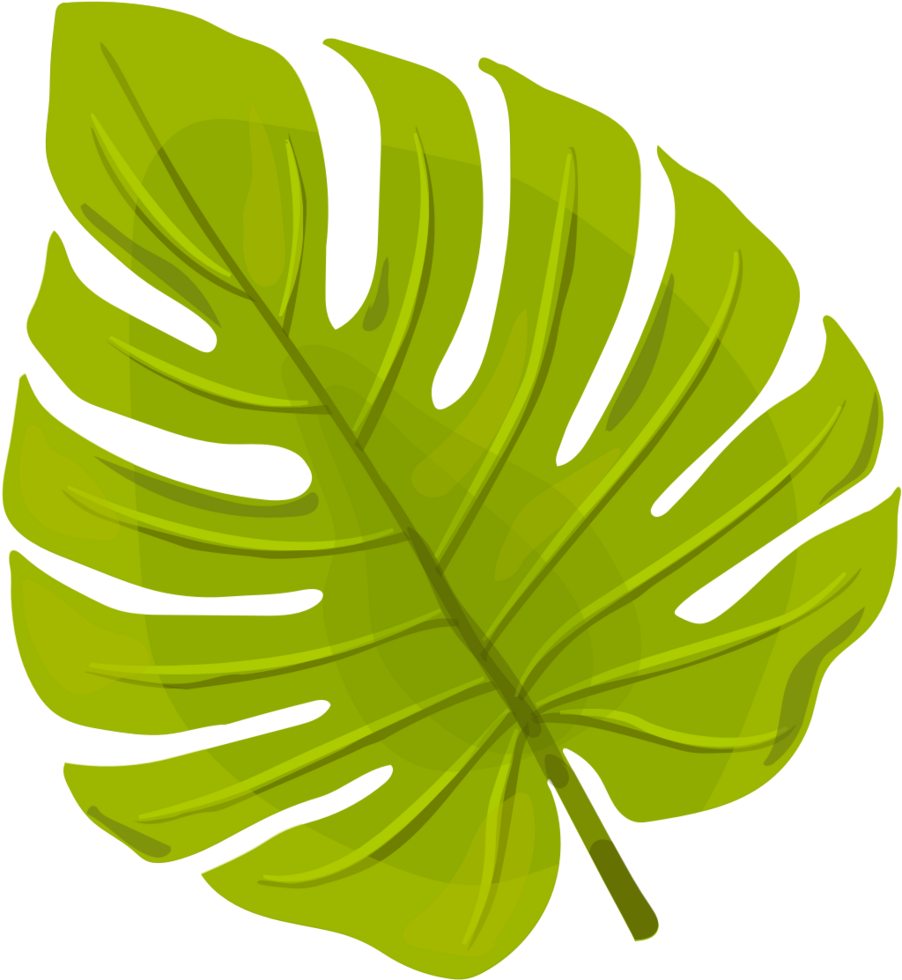 Palm vector