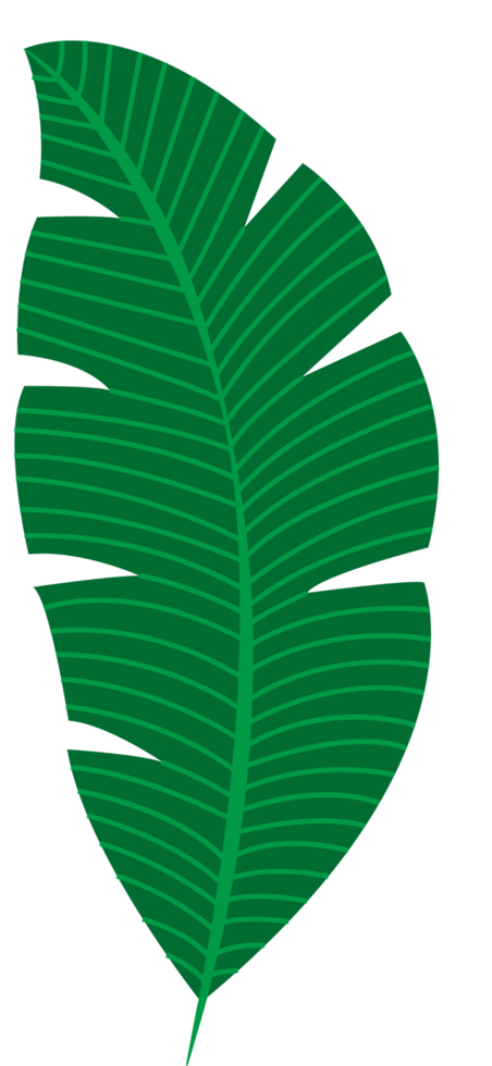 Palm vector