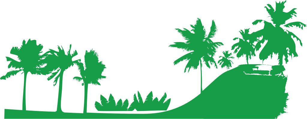 Palm Trees vector