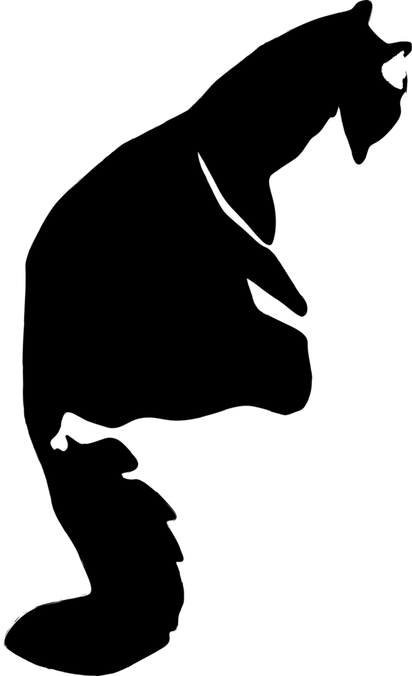 Cat vector