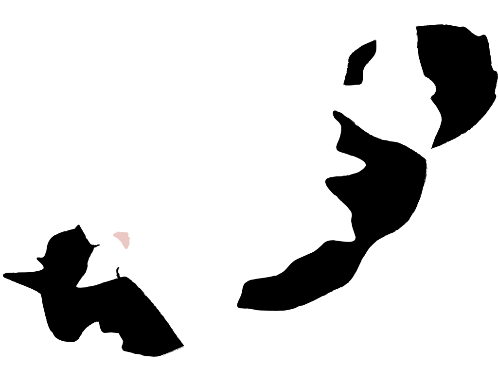 Cat vector