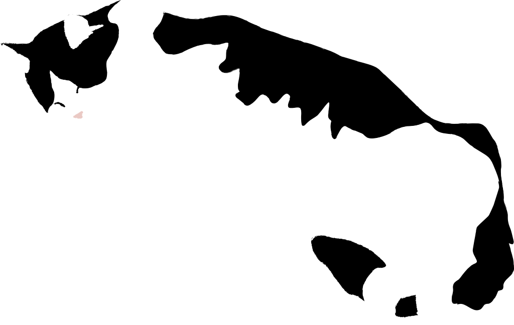 Cat vector