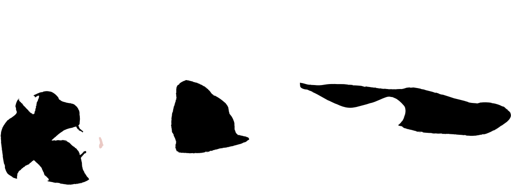 Cat vector