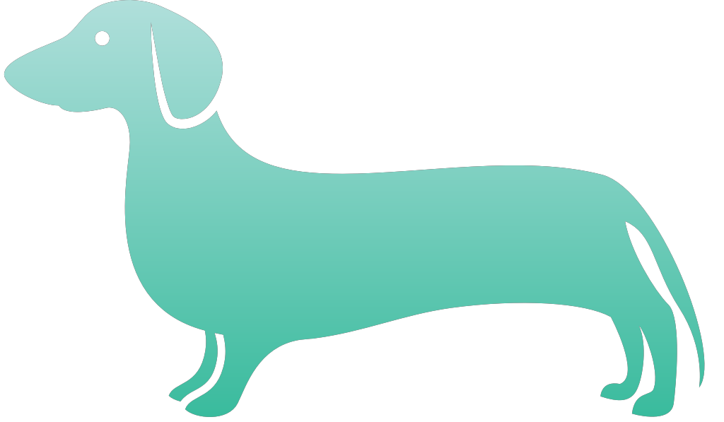 Dog vector