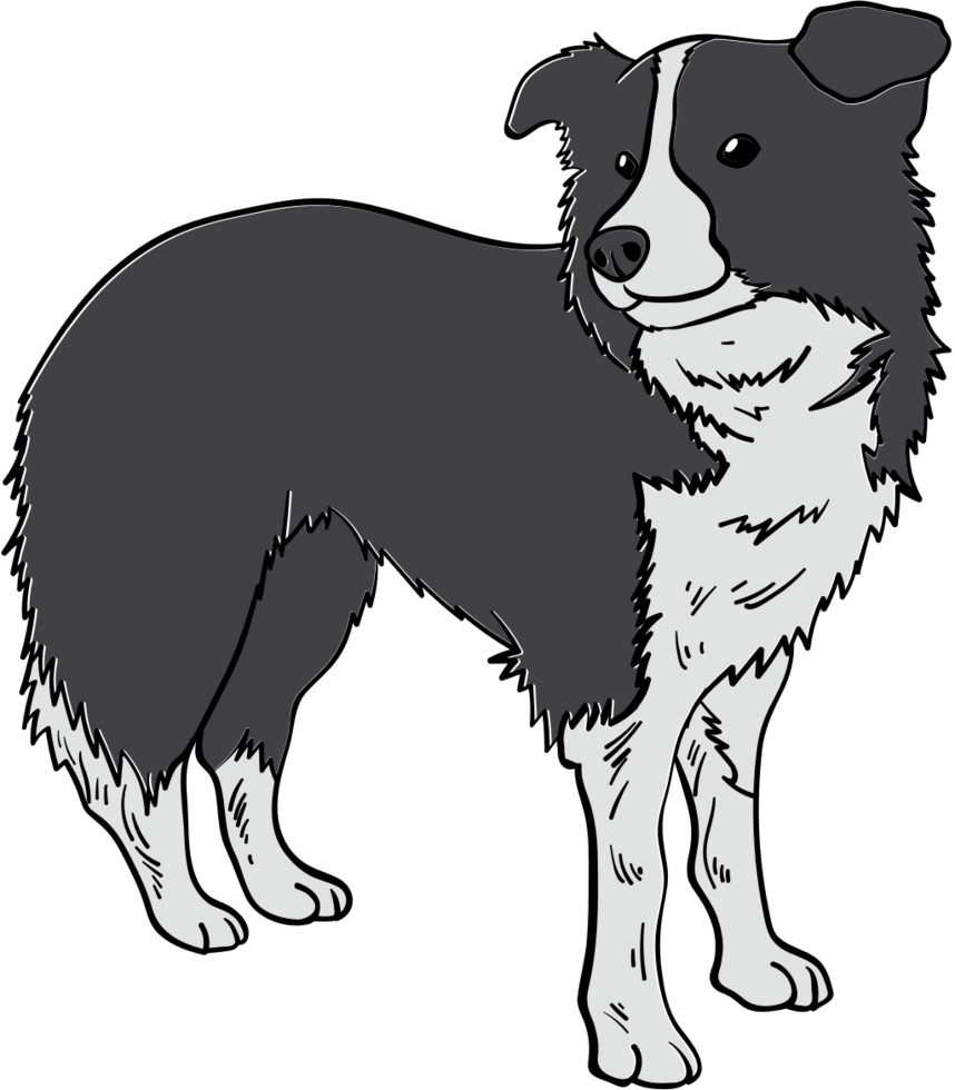 Dog vector