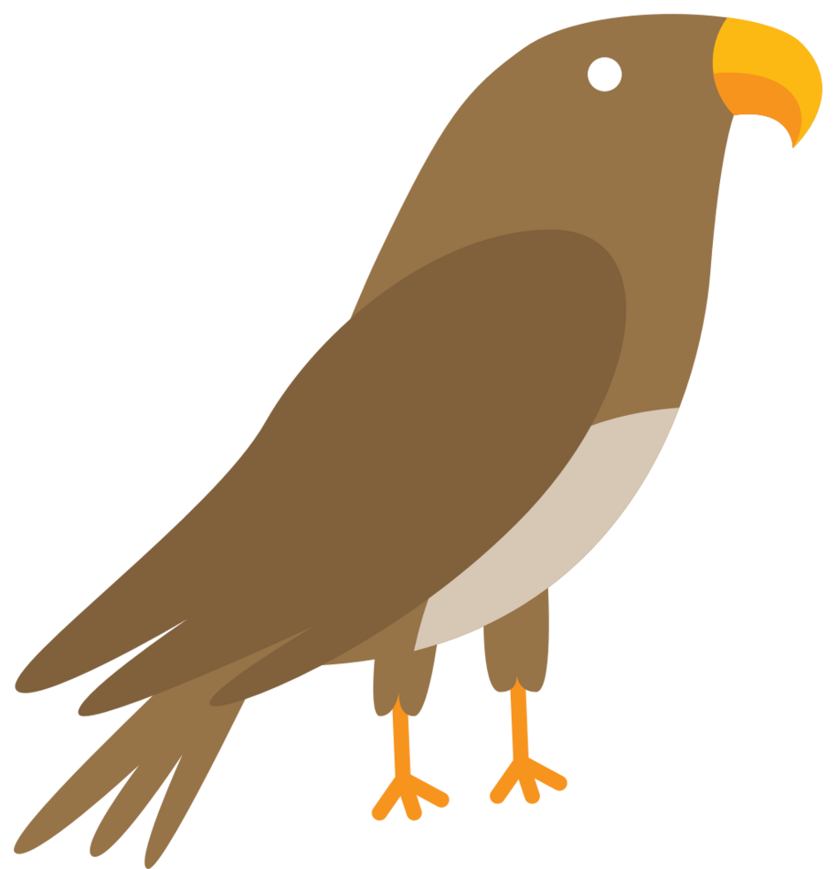 Bird vector