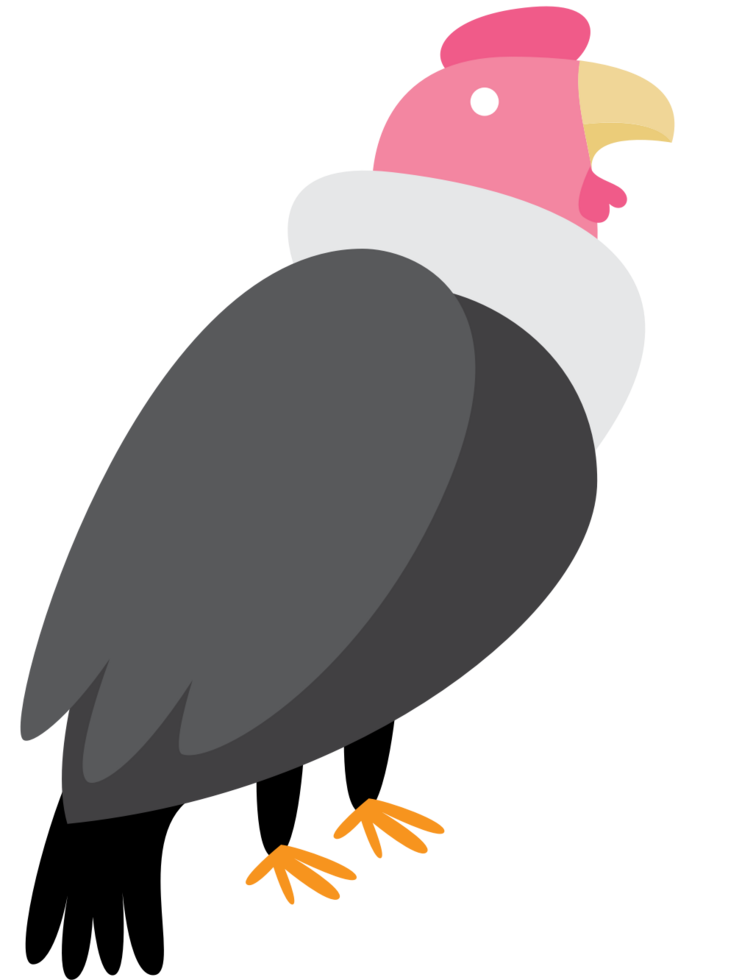 Vulture vector