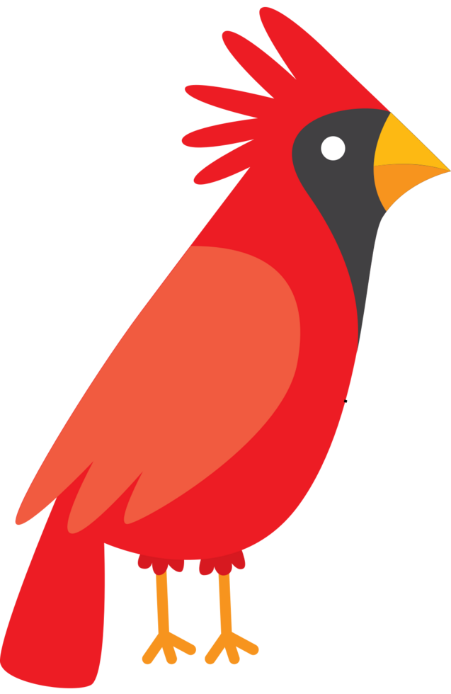 Cardinal vector