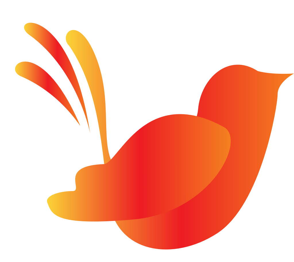 Bird vector