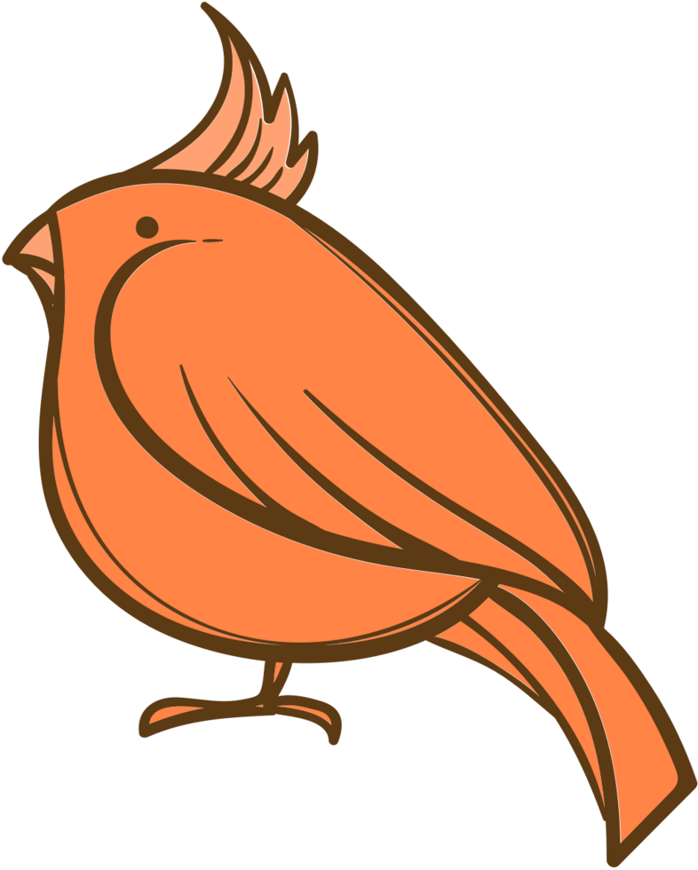Bird vector