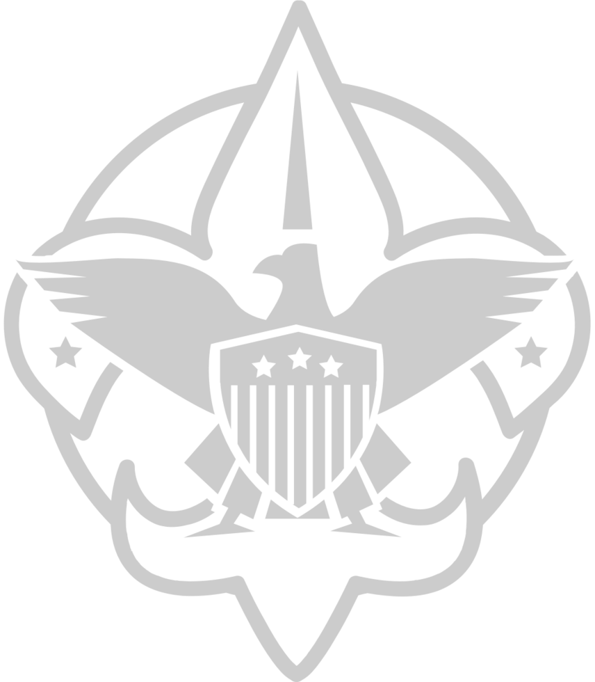 Eagle Scout vector