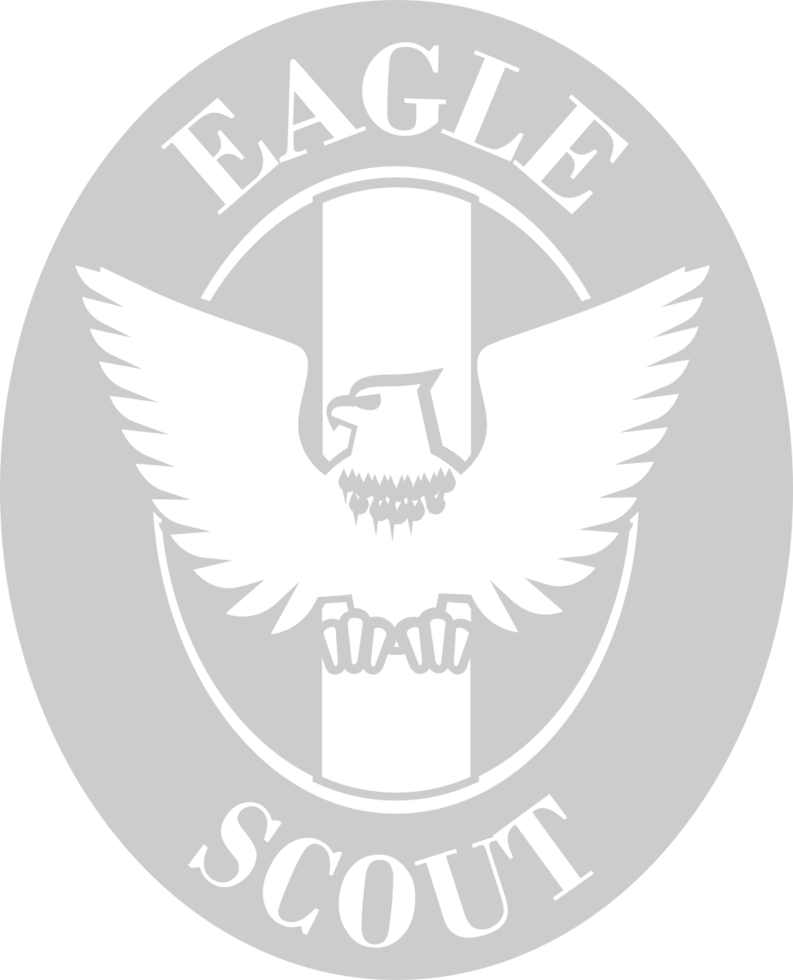 Eagle Scout vector