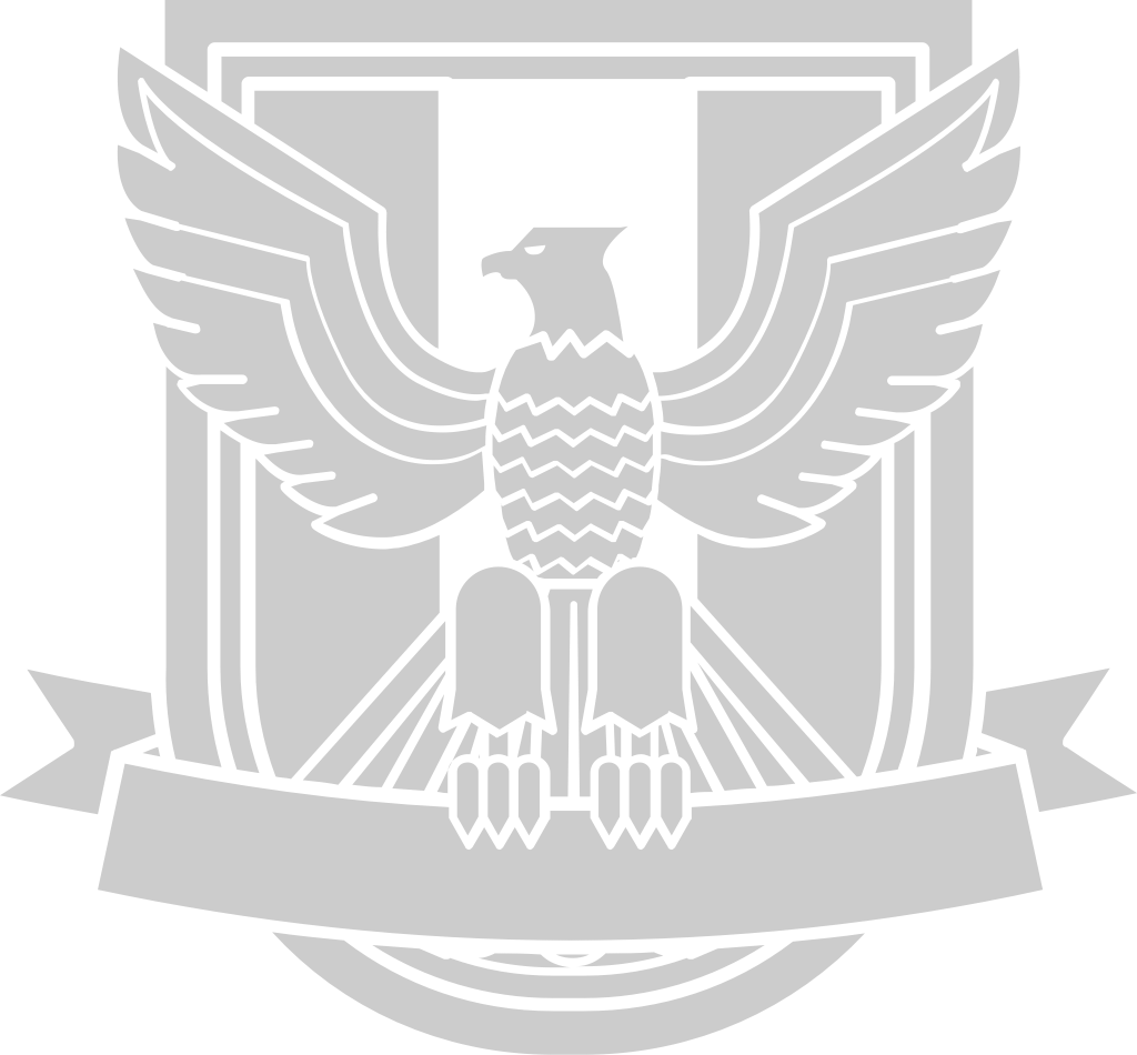 Eagle Scout vector