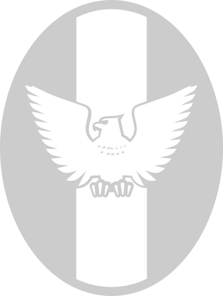 Eagle Scout vector