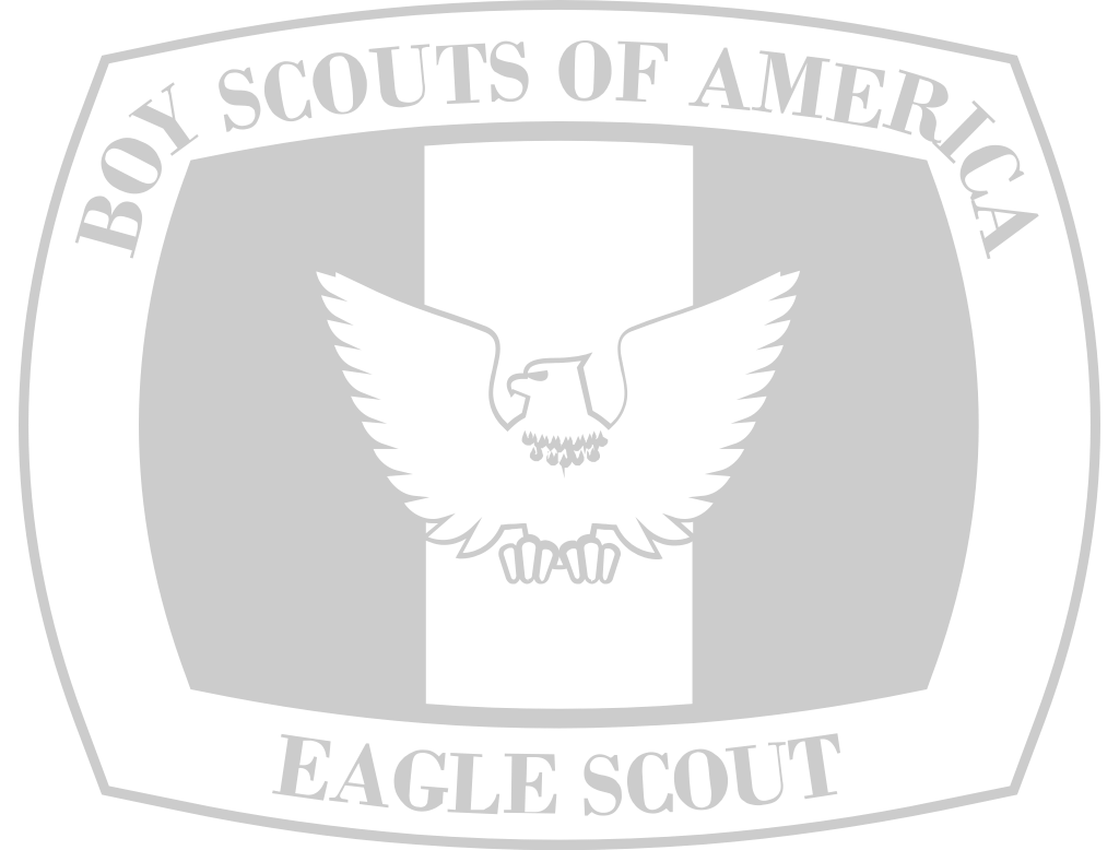 Eagle Scout vector