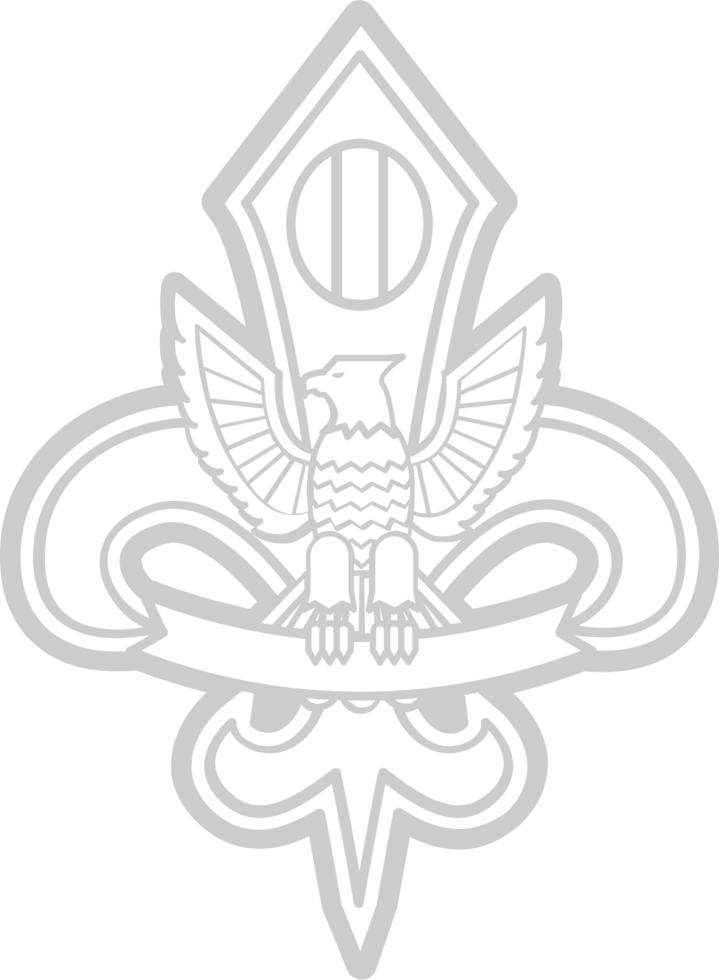 Eagle Scout vector
