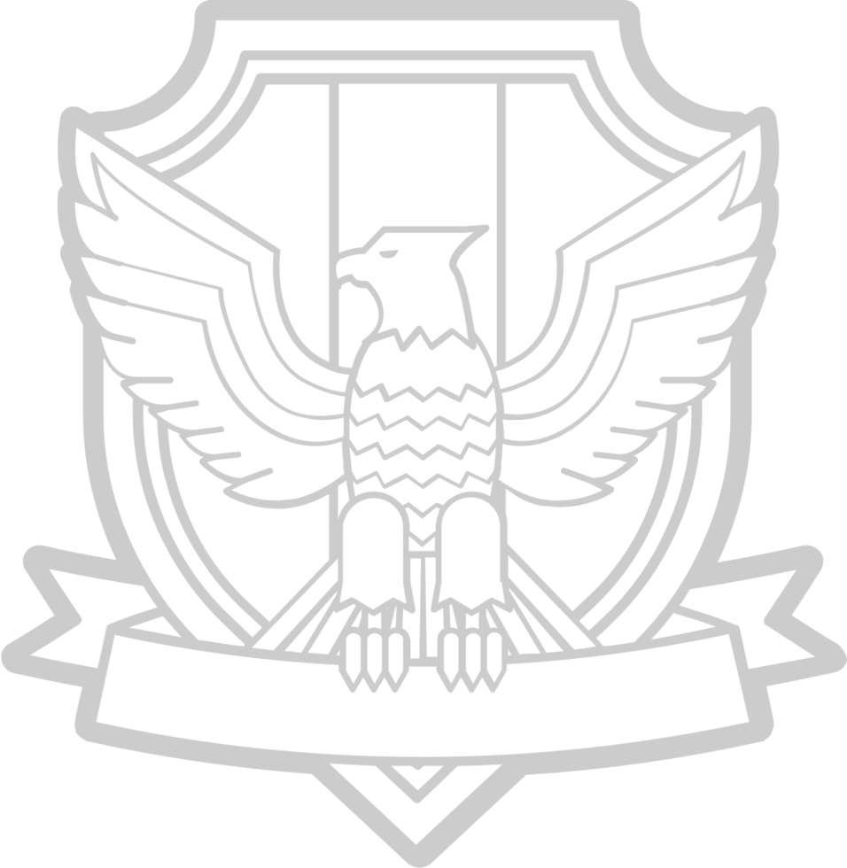Eagle Scout vector