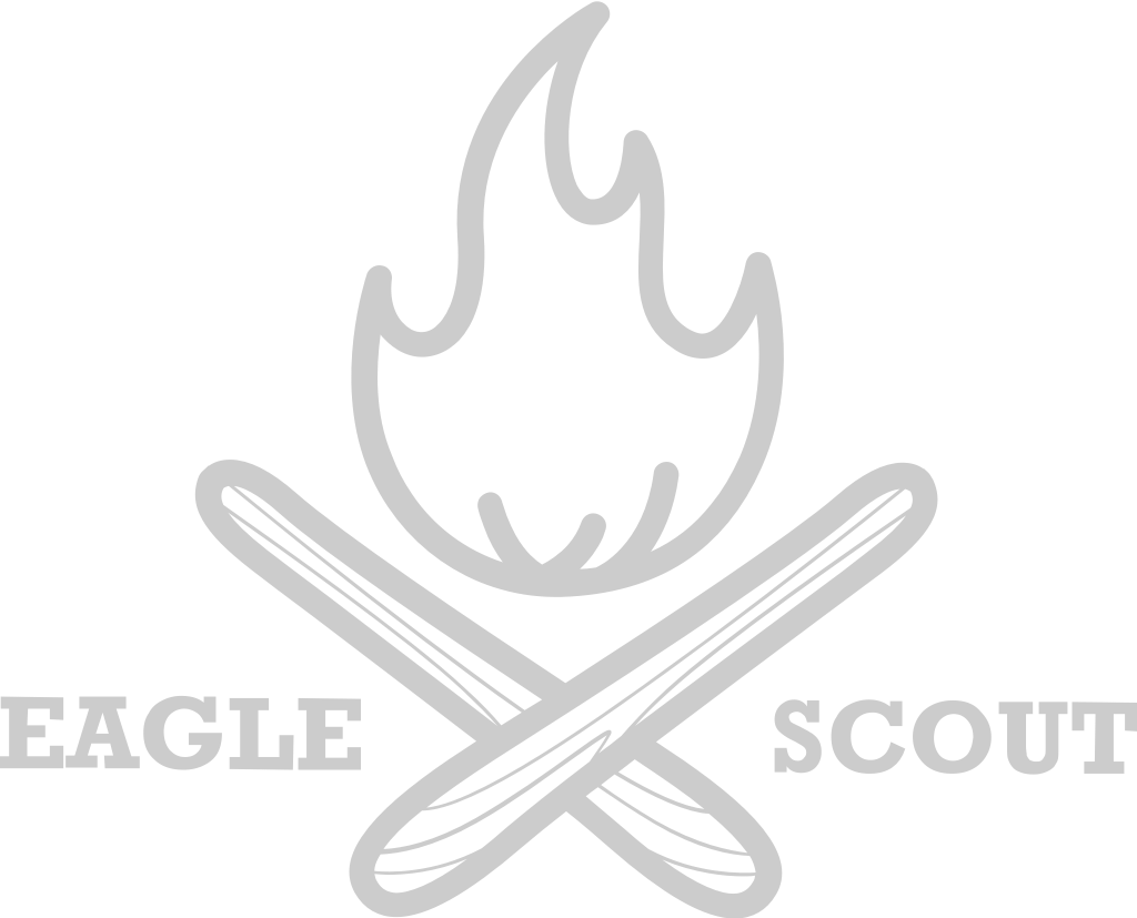 Eagle scout badge vector