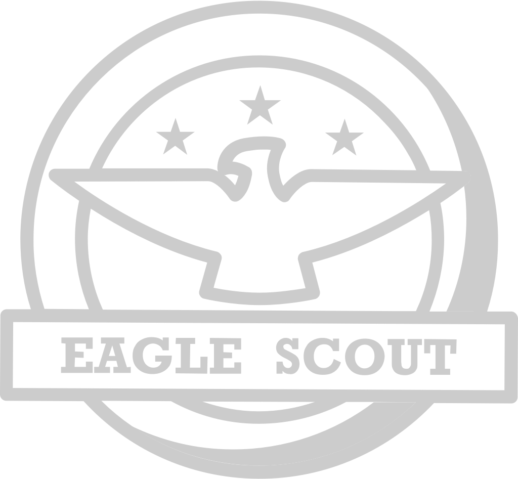 Eagle scout badge vector