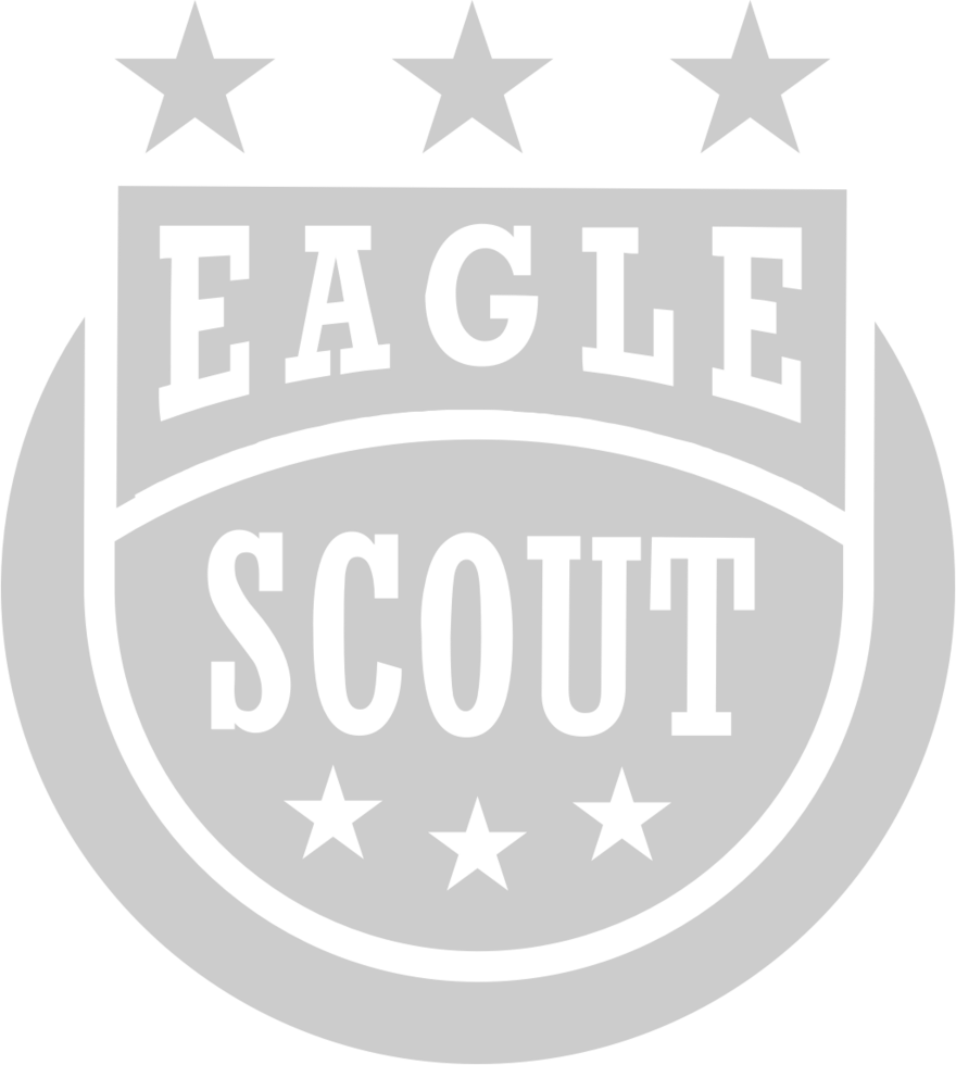 Eagle scout badge vector