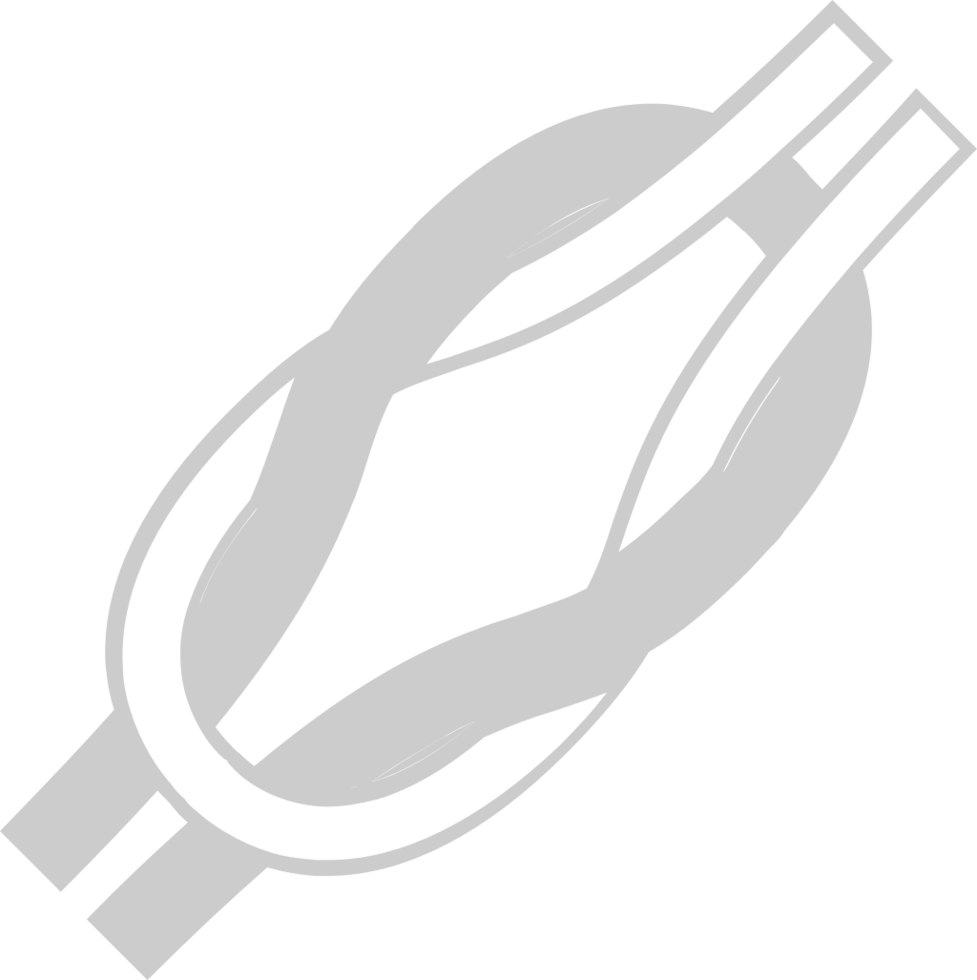 Scout knot vector