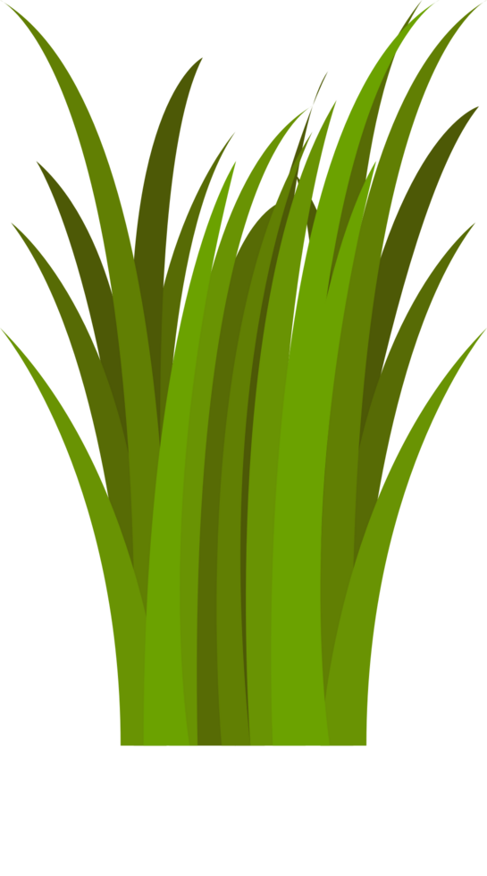 Grass vector