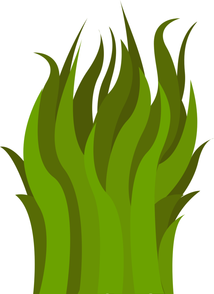 Grass vector