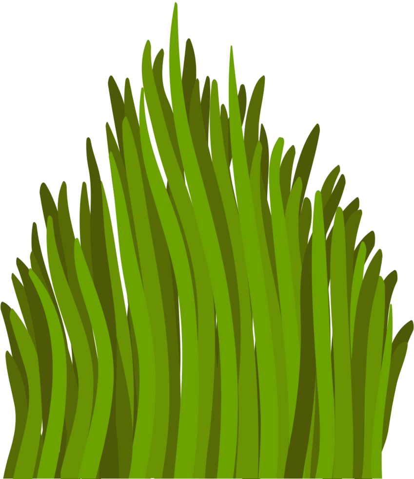 Grass vector