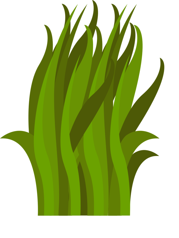 Grass vector