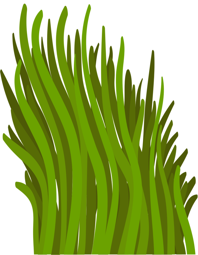 Grass vector