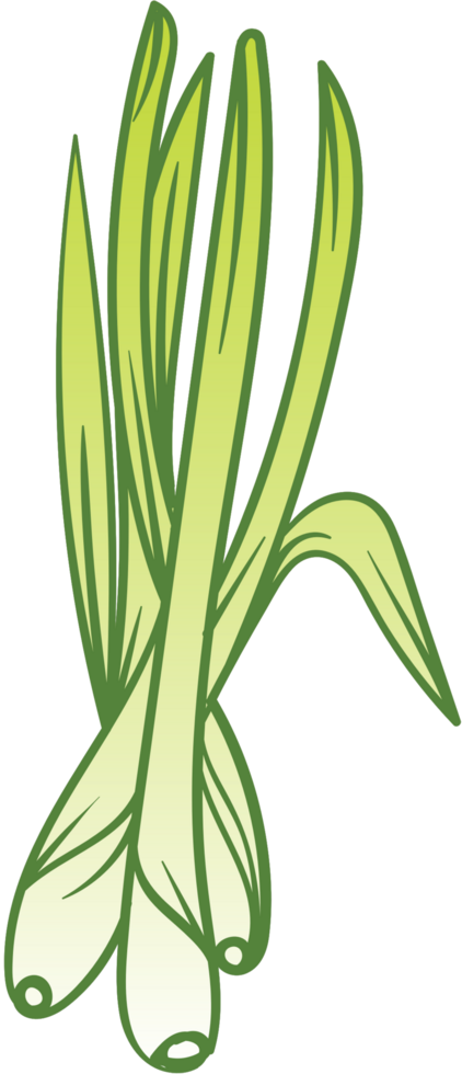 Lemongrass vector
