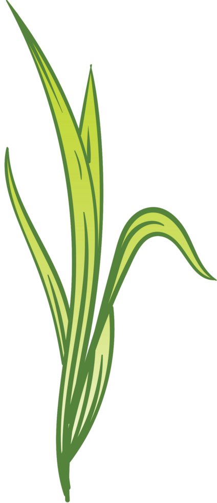 Lemongrass vector