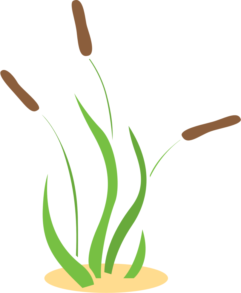 Grass vector