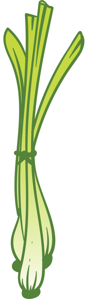 Lemongrass vector