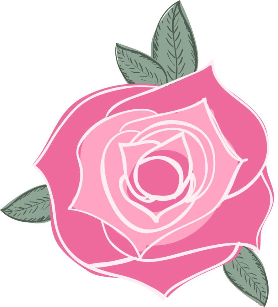 Rose vector