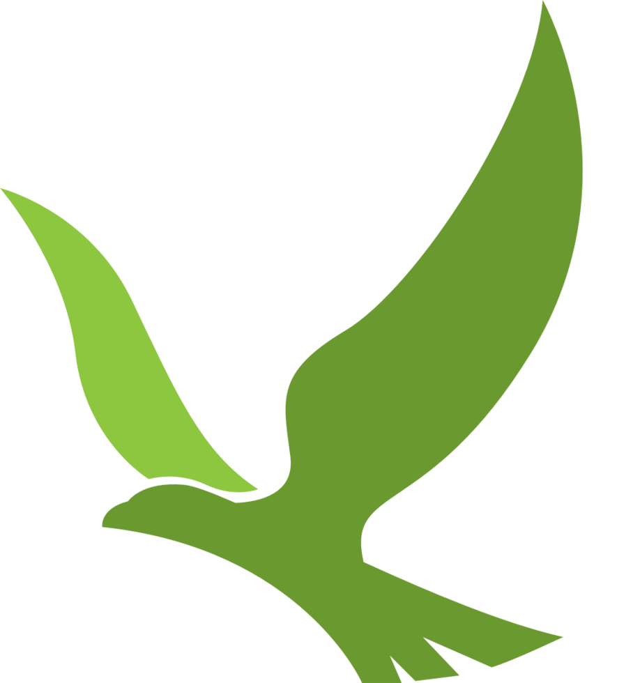 Hawk vector