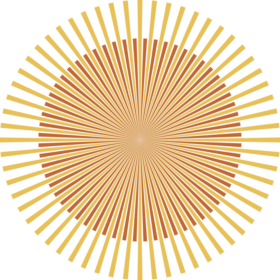 Fireworks vector