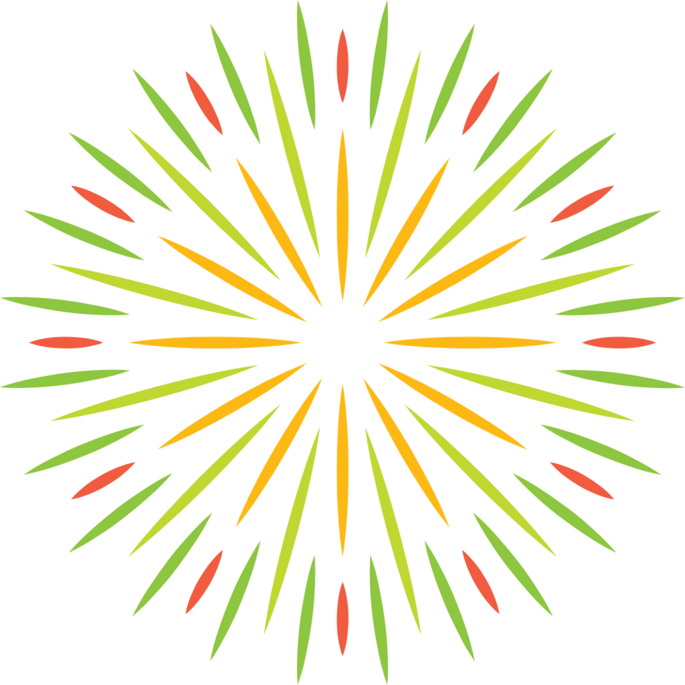 Fireworks vector