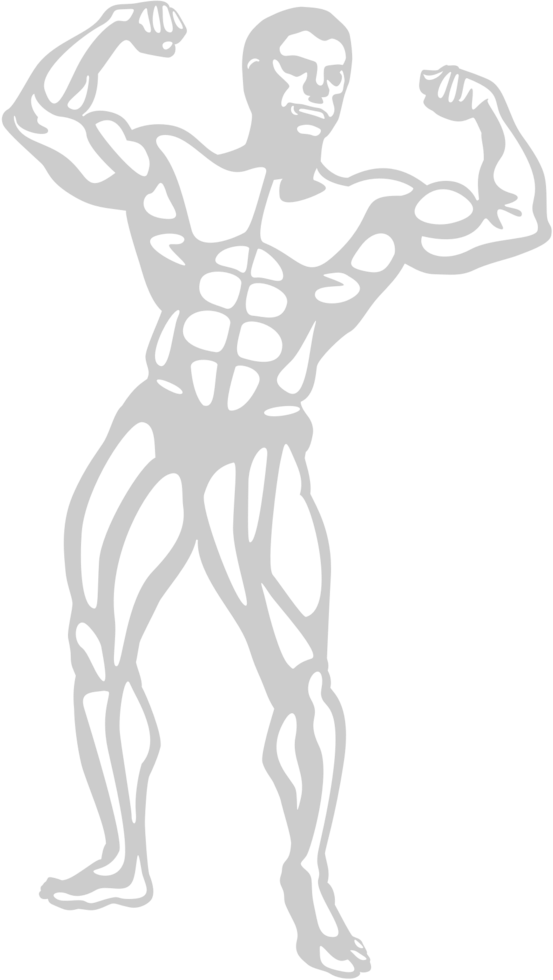 Muscle men shading vector