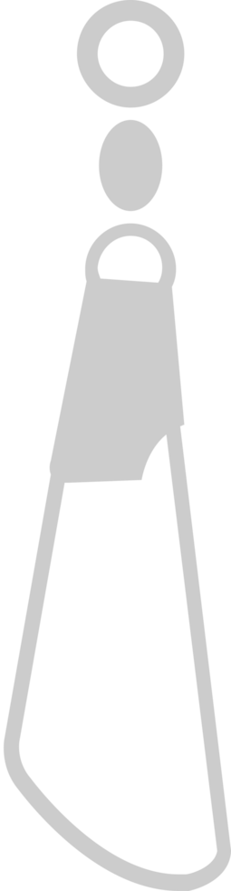 Hook vector