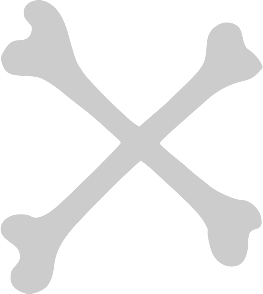 X bone vector