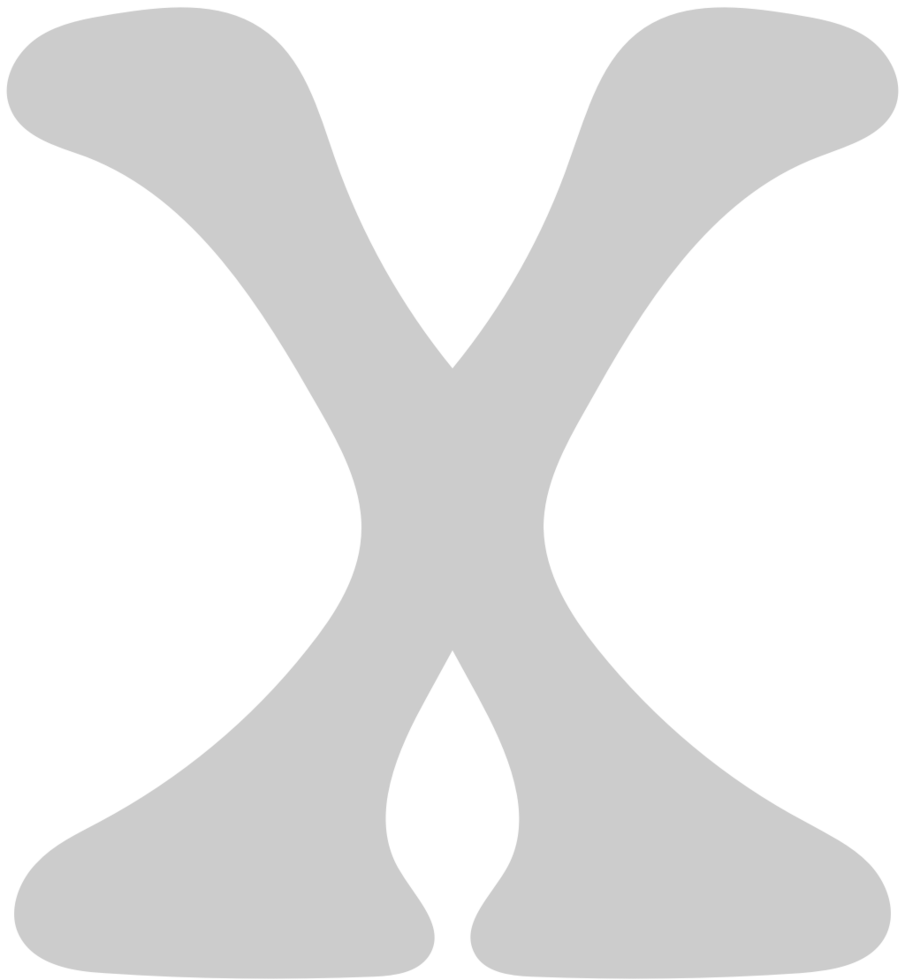 X  vector