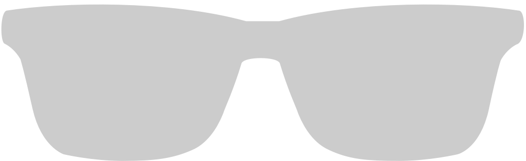 Sunglasses  vector