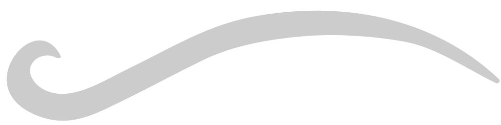Underline  vector