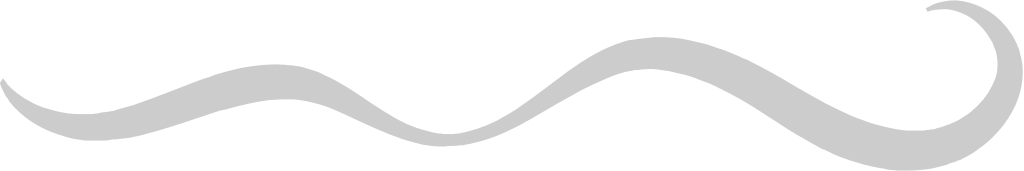 Underline  vector