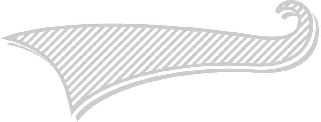 Underline  vector