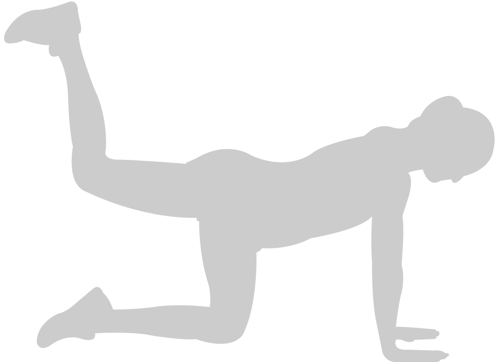 Workout female  vector