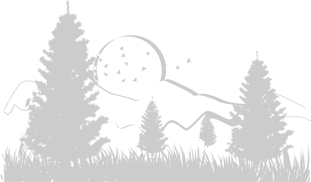 Sunset scenery  vector