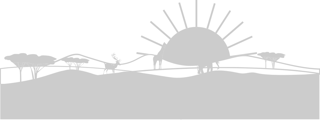 Sunset scenery vector